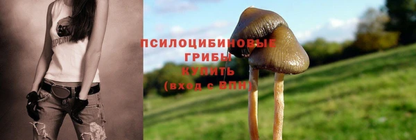 винт Кулебаки