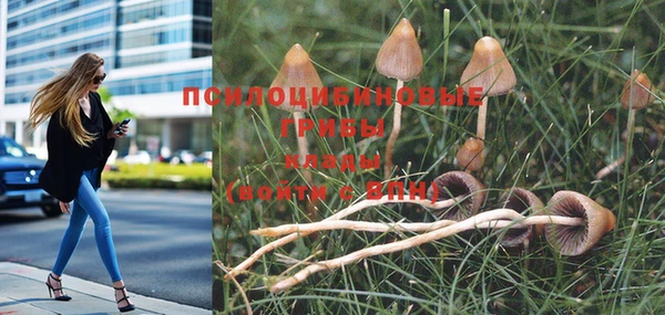 соль курить ск Куйбышев