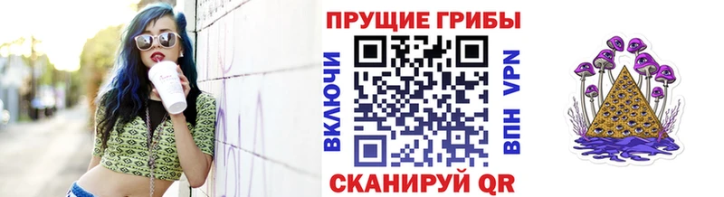 Купить закладки  Куса  Галлюциногенные грибы Psilocybine cubensis 