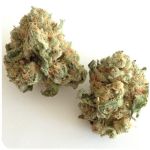 Шишки "White Widow"  (Белая вдова)  Гидропоника -  Бошка VHQ в Кусе